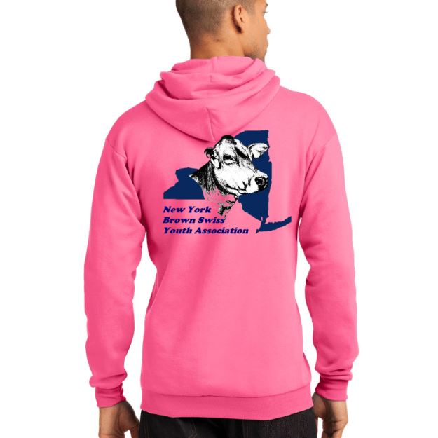 NY Brown Swiss Hooded Sweatshirt