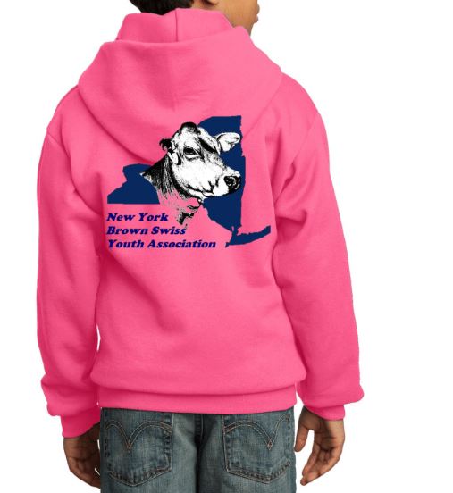 NY Brown Swiss Youth Sweatshirt