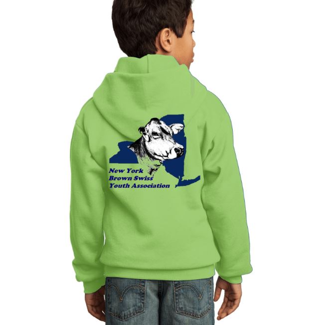 NY Brown Swiss Youth Sweatshirt