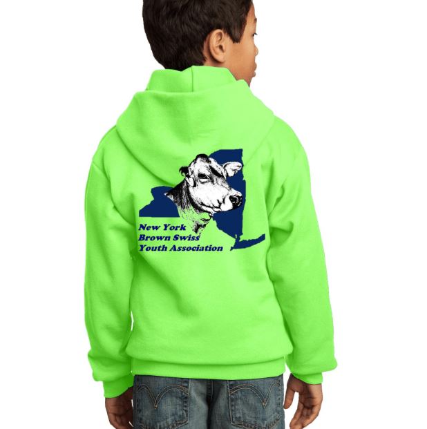 NY Brown Swiss Youth Sweatshirt