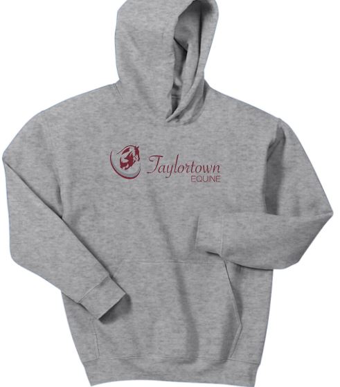 Taylortown YOUTH Hoodie