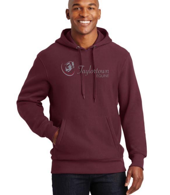 Taylortown Adult Heavyweight Hoodie